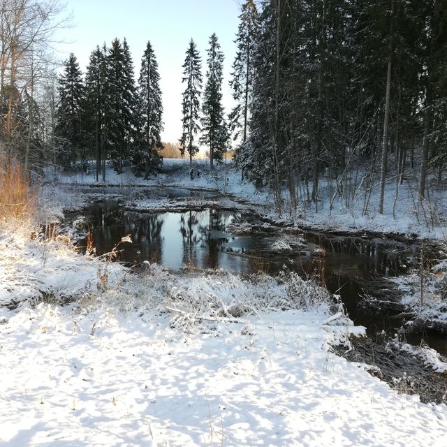 Liikunta Treeni Leiri
