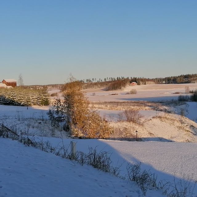 Talvi Treeni Kuntoilu
